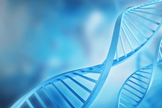 Imagem de FISH – Hibridação in situ por Fluorescência