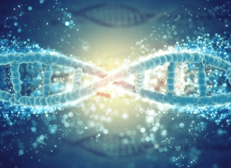 PAINEL NEUROGENÉTICO