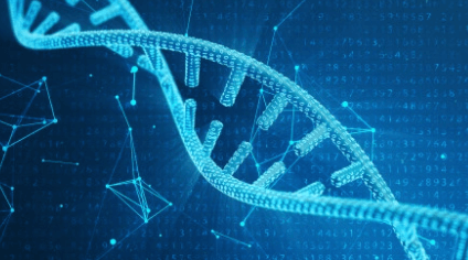 Imagem de SEQUENCIAMENTO SANGER